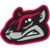 Flying Squirrels
