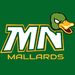 Minnesota Mallards