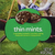 Thin Mints