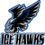 Ice Hawks